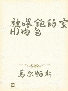 被喂饱的室友(H)肉包