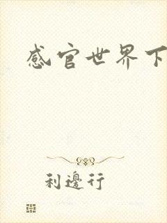 感官世界下载