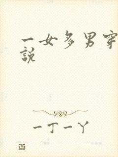 一女多男穿越小说