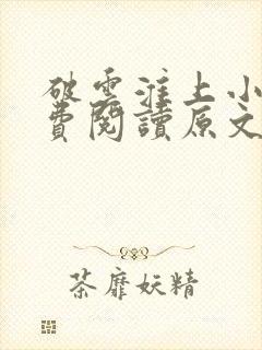 破云淮上小说免费阅读原文