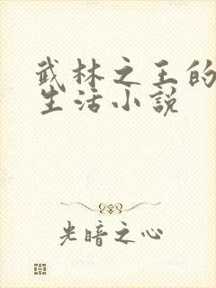 武林之王的退隐生活小说