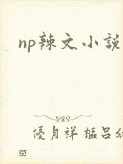 np辣文小说