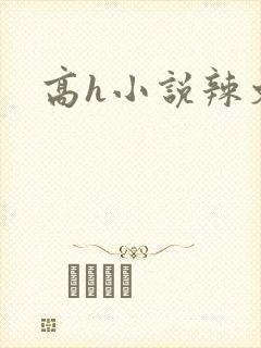 高h小说辣文
