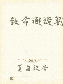 致命邂逅刘小寐