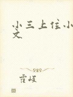 小三上位小说全文封面