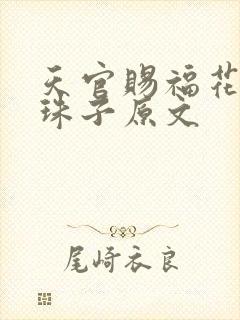 天官赐福花怜塞珠子原文封面