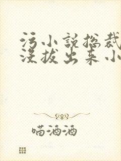 污小说总裁整夜没拔出来小说在线阅读