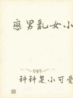 恋男乱女小说
