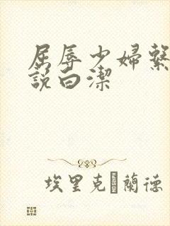 屈辱少妇系列小说白洁封面