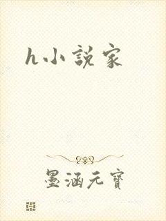 h小说家