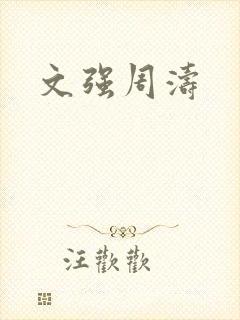 文强周涛封面