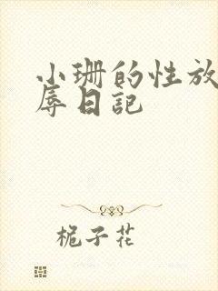 小珊的性放荡羞辱日记封面