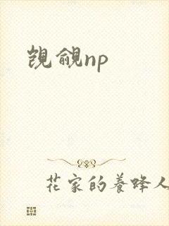 觊觎np