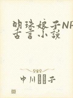 明珠娘子NPC古言小说封面