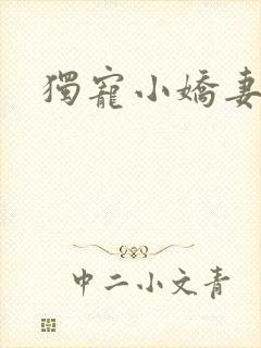 独宠小娇妻