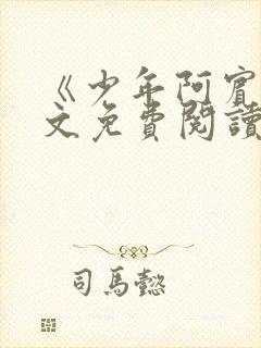 《少年阿宾》全文免费阅读