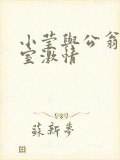 小莹与公翁办公室激情