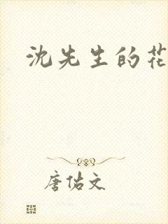 沈先生的花式调封面