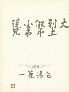 从小做到大骨科兄弟年上