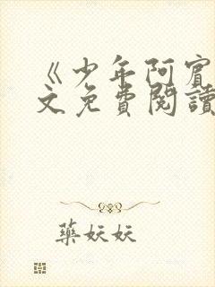 《少年阿宾》全文免费阅读