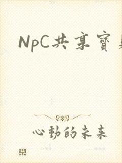 NpC共享宝贝