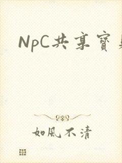 NpC共享宝贝