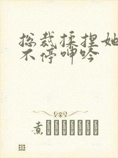 总裁揉捏她两乳不停呻吟