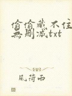 偷偷藏不住番外无删减txt