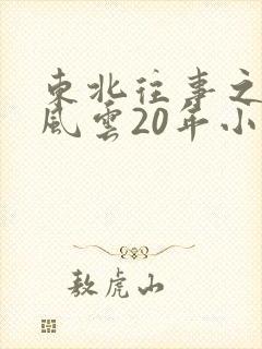 东北往事之黑道风云20年小说封面