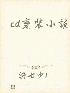 cd变装小说封面