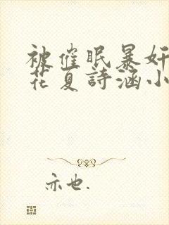 被催眠暴奸的校花夏诗涵小说