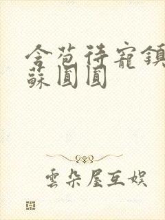 含苞待宠镇国公苏圆圆封面