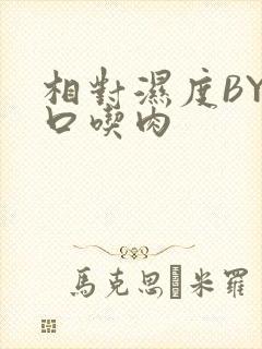 相对湿度BY大口吃肉封面