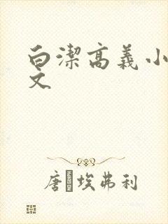 白洁高义小说全文