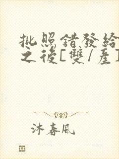 批照错发给情敌之后[双/产]封面