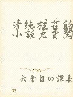 清纯校花的秘密小说免费阅读