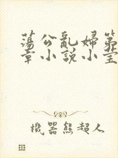 荡公乱妇第51章小说小莹