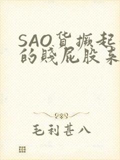 SAO货撅起你的贱屁股来