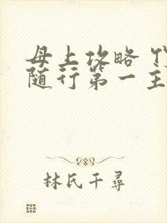 母上攻略 竹影随行第一主板封面