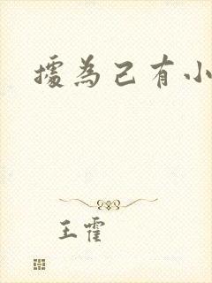 据为己有小说封面