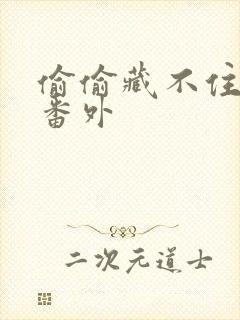 偷偷藏不住新婚番外