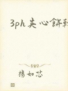 3ph夹心饼干封面