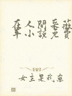 在人间采薇陆三平小说免费阅读封面