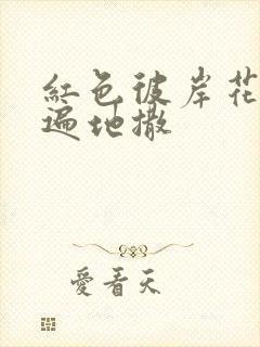 红色彼岸花花瓣遍地撒