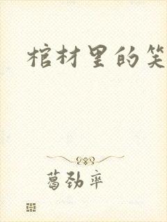 棺材里的笑声封面