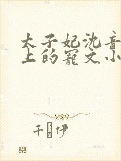 太子妃沈音和皇上的宠文小说