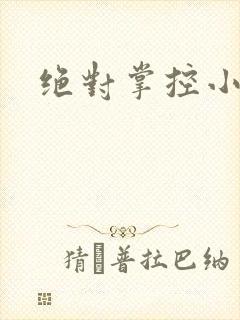 绝对掌控小说