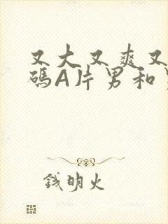 又大又爽又黄无码A片男和男封面