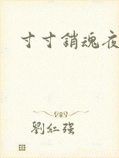 寸寸销魂夜春光