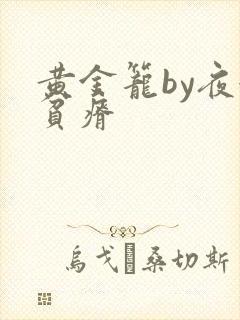 黄金笼by夜很贫瘠封面